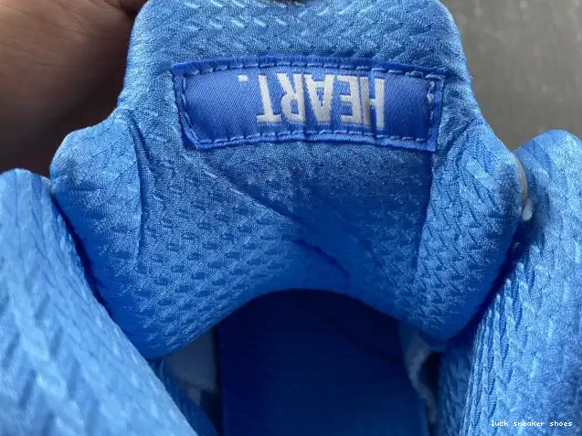 Rep LUCY 5 Jordan UNC DV1310-401 Air 0508